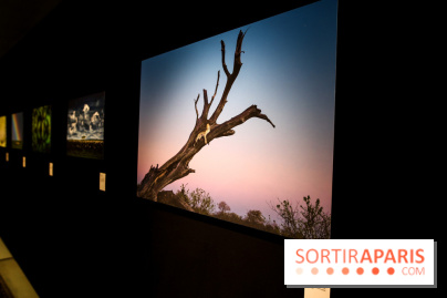 Reflets de la nature, nos photos de l'exposition - IMG 4820