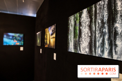 Reflets de la nature, nos photos de l'exposition