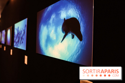 Reflets de la nature, nos photos de l'exposition - IMG 4824