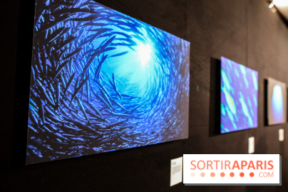 Reflets de la nature, nos photos de l'exposition - IMG 4828