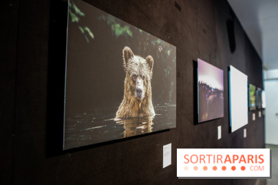 Reflets de la nature, nos photos de l'exposition