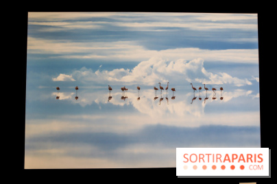 Reflets de la nature, nos photos de l'exposition - IMG 4834