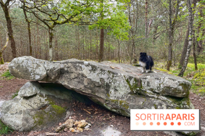 Dolmen de la Pierre Ardoue - IMG 0972
