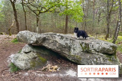 Dolmen de la Pierre Ardoue - IMG 0974