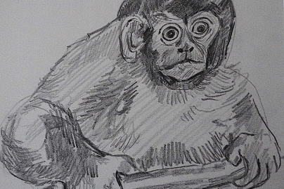 Campagne #32834 - Dessin N&B Maurice Mourlot 