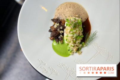 Auguste - Turbot, petits pois, tourteau