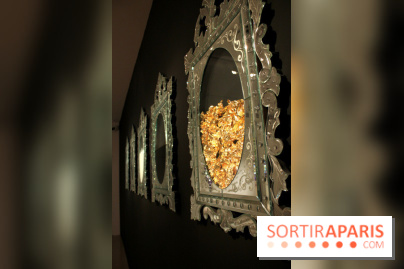 orlan Miroirs Portrait-Stress of Our Society 2009 - Exposition Fragile au Musée Maillol