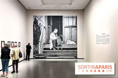 Matisse