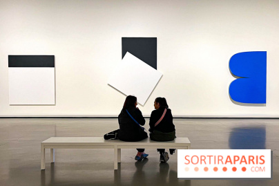 Formes et couleurs, l'exposition hommage à Ellsworth Kelly à la Fondation Louis Vuitton