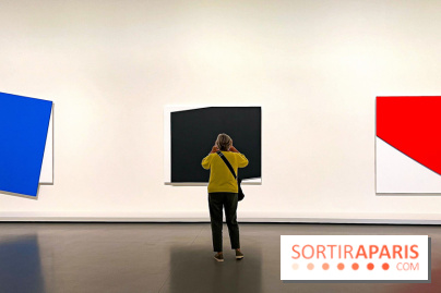 Formes et couleurs, l'exposition hommage à Ellsworth Kelly à la Fondation Louis Vuitton