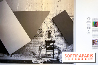 Formes et couleurs, l'exposition hommage à Ellsworth Kelly à la Fondation Louis Vuitton - image00045