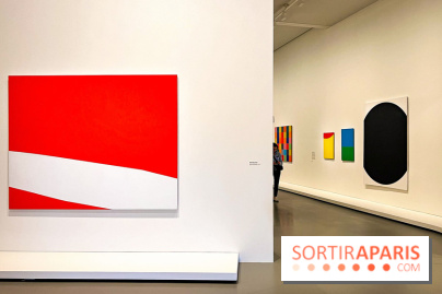 Formes et couleurs, l'exposition hommage à Ellsworth Kelly à la Fondation Louis Vuitton