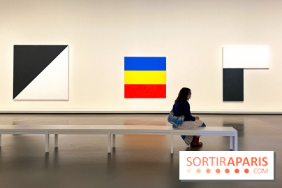 Formes et couleurs, l'exposition hommage à Ellsworth Kelly à la Fondation Louis Vuitton - image00061