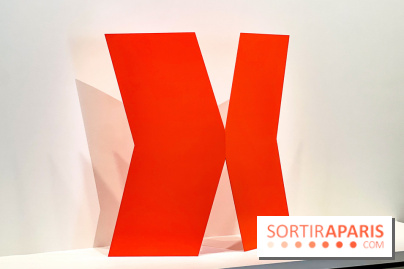 Formes et couleurs, l'exposition hommage à Ellsworth Kelly à la Fondation Louis Vuitton - image00065