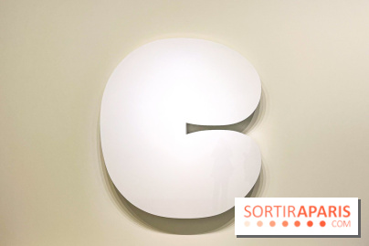 Formes et couleurs, l'exposition hommage à Ellsworth Kelly à la Fondation Louis Vuitton - image00073