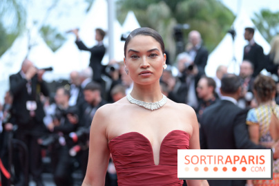 © Rachid Bellak - Cannes 2024 : Cérémonie d'ouverture - BEL 0931