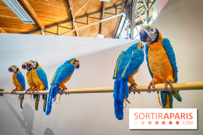 Rayon Jouets, l'exposition ultra ludique du Hangar Y - IMG20240515133341