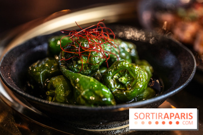 Yamato Grill, le restaurant grill japonais aux Halles
