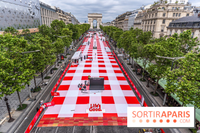 Grand pique nique des Champs-Élysées - photos