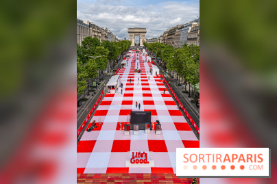 Grand pique nique des Champs-Élysées - photos