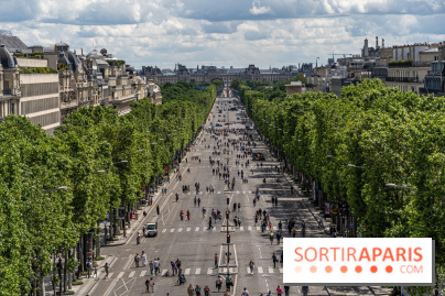 Grand pique nique des Champs-Élysées - photos