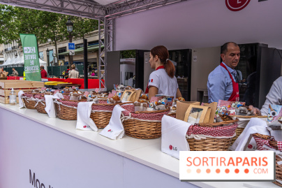 Grand pique nique des Champs-Élysées - photos  -  A7C4774
