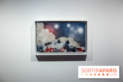 Clive Holden : les photos de son expo au Centre culturel canadien - IMG 5225 2