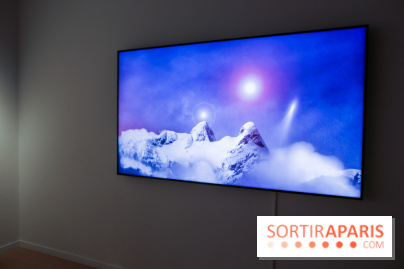 Clive Holden : les photos de son expo au Centre culturel canadien - IMG 5226 2