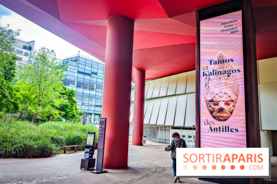 Exposition Taïnos et Kalinagos des Antilles : un voyage fascinant à faire au musée du Quai Branly - IMG20240603142350