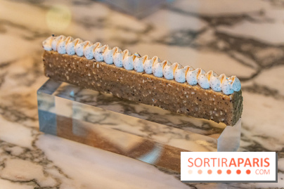 Les pâtisseries de Yazid Ichemrahen et Alexandre Favre au Royal Monceau - Raffles Paris -  A7C4858