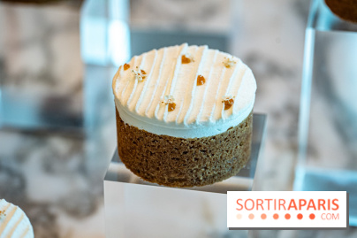 Les pâtisseries de Yazid Ichemrahen et Alexandre Favre au Royal Monceau - Raffles Paris -  A7C4875