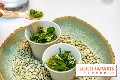 La Scène Thélème, le restaurant étoilé par Rudy Langlais -  A7C5087