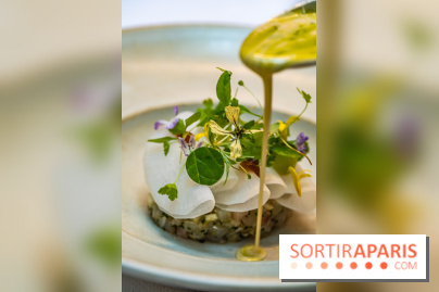 La Scène Thélème, le restaurant étoilé par Rudy Langlais -  A7C5089