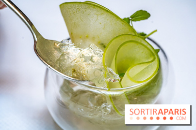 La Scène Thélème, le restaurant étoilé par Rudy Langlais -  A7C5115