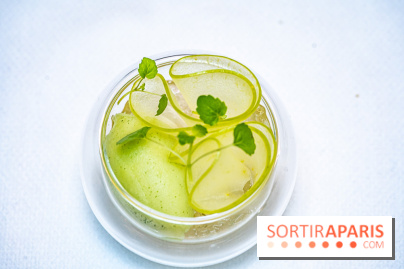 La Scène Thélème, le restaurant étoilé par Rudy Langlais -  A7C5116