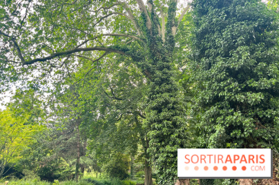 Le parc de la Légion d'honneur de Saint-Denis - nos photos - image00032