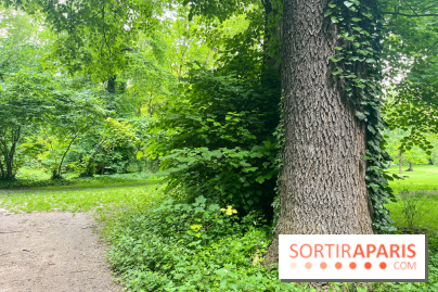 Le parc de la Légion d'honneur de Saint-Denis - nos photos - image00004