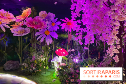 House of Dreamers - IMG 1500