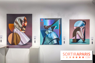 Identité Artificielle : l'exposition de SKIO à la galerie Goldshteyn-Saatort - IMG 7793