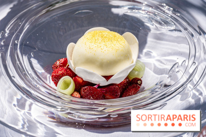 La terrasse jardin Summer de la Bauhinia au Shangri-La Paris -  A7C5638