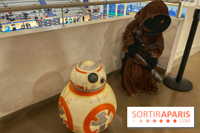 L'Open de France de Sabre Laser  - IMG 1706