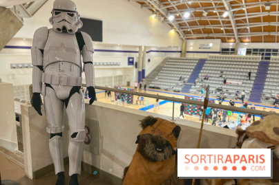 L'Open de France de Sabre Laser