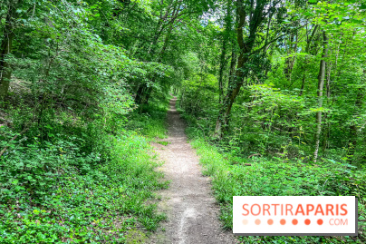 Le kiosque du belvédère de Chatillon à Risny-sur-Seine en Yvelines - IMG 9943