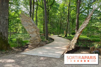 Fauconnier d'un jour - IMG 1370