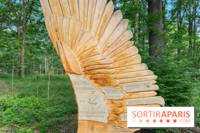 Fauconnier d'un jour - IMG 1374