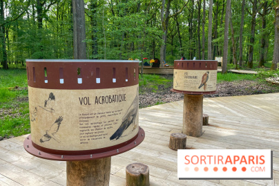 Fauconnier d'un jour - IMG 1377