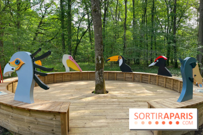 Fauconnier d'un jour - IMG 1383