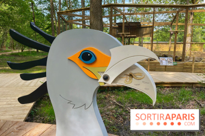 Fauconnier d'un jour - IMG 1384