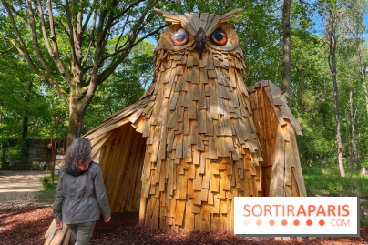 Fauconnier d'un jour - IMG 1397