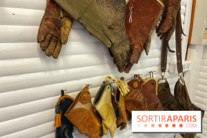 Fauconnier d'un jour - IMG 1414